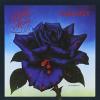 Black rose thin lizzy 1